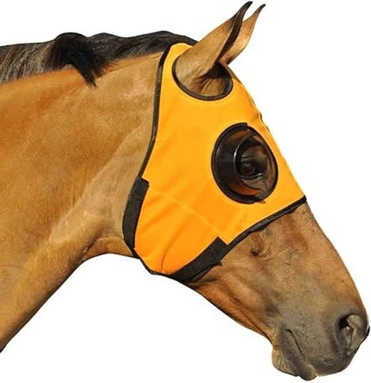 Paraocchi per cavallo con cinghie in pelle regolabili