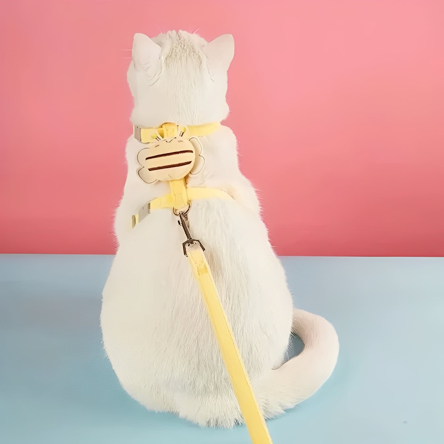 Imbracatura e collare per gatto con cinturini regolabili
