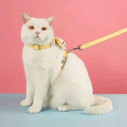 Imbracatura e collare per gatto con cinturini regolabili