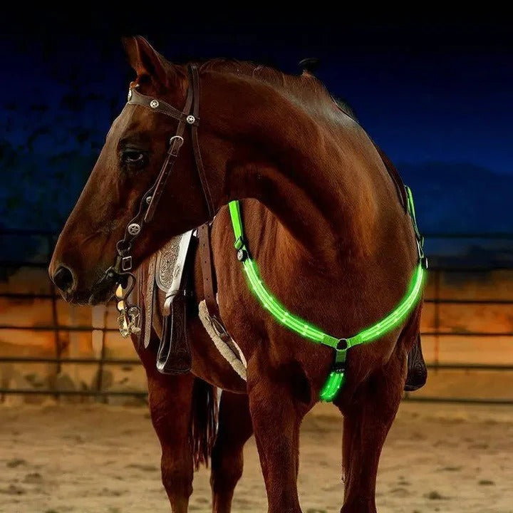 Collare toracico illuminato a LED per cavalli