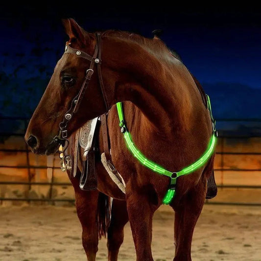 Collare toracico illuminato a LED per cavalli