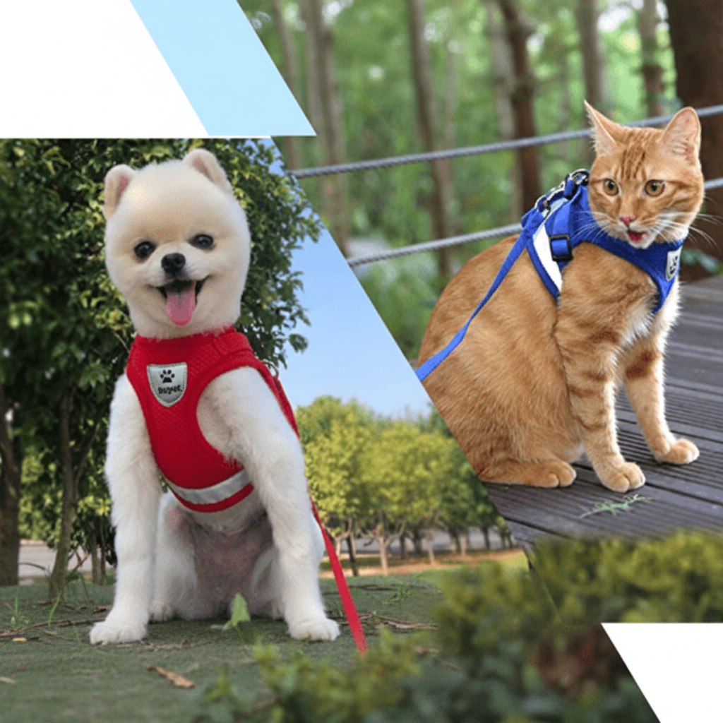 WANDERPAW – Imbracatura per gatto a prova di fuga con dettagli riflettenti