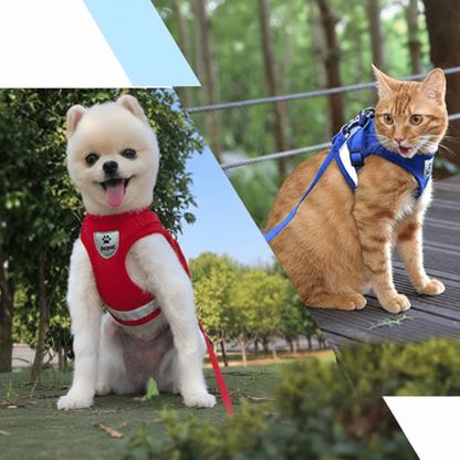 WANDERPAW – Imbracatura per gatto a prova di fuga con dettagli riflettenti