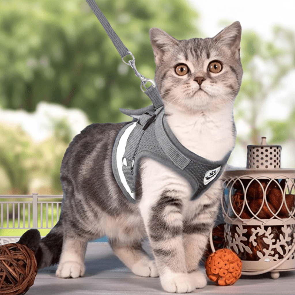 WANDERPAW – Imbracatura per gatto a prova di fuga con dettagli riflettenti