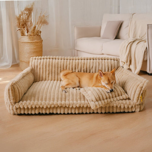 Divano Letto Ortopedico Morbido, Lavabile e Soffice per Cani - Sogno Soffice