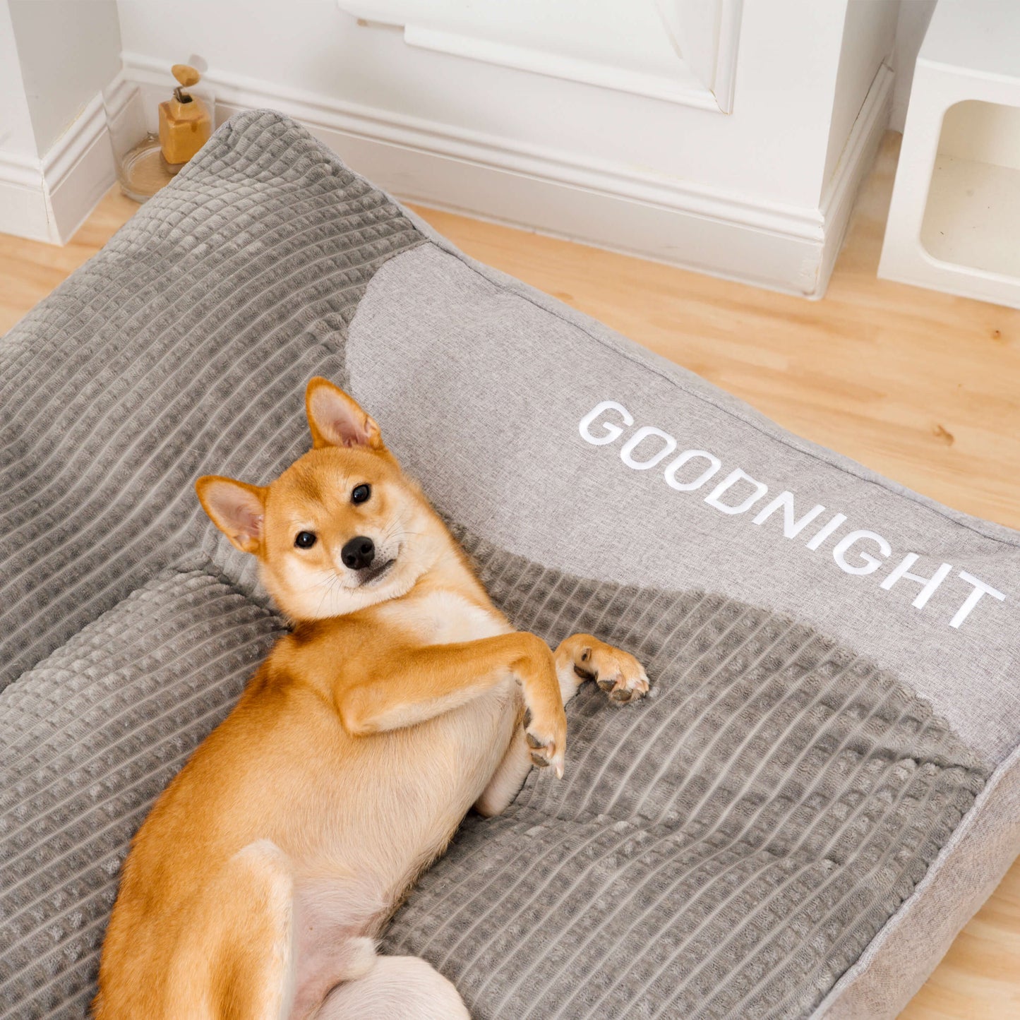 Letto per cani di diverse dimensioni