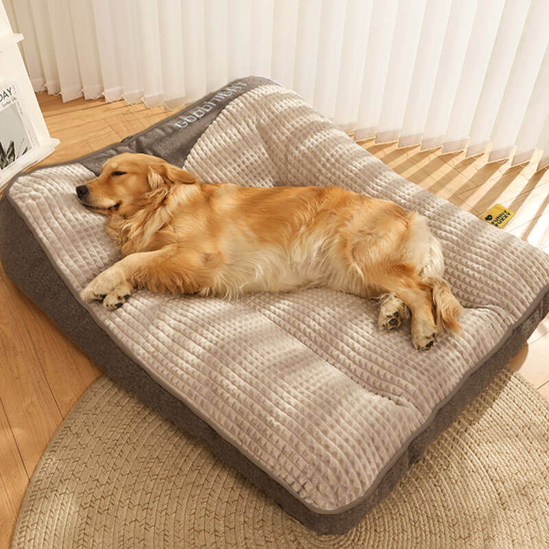 Cuscino Ortopedico per Cani Grandi – Letto di Lusso in Memory Foam con Cuscino