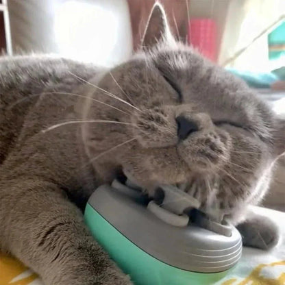 Massaggiatore elettrico per gatti e cani Rassivo™