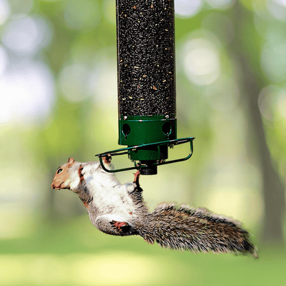 WILDFEED – Alimentatore per uccelli all'aperto con sistema multi-porta e funzione di protezione
