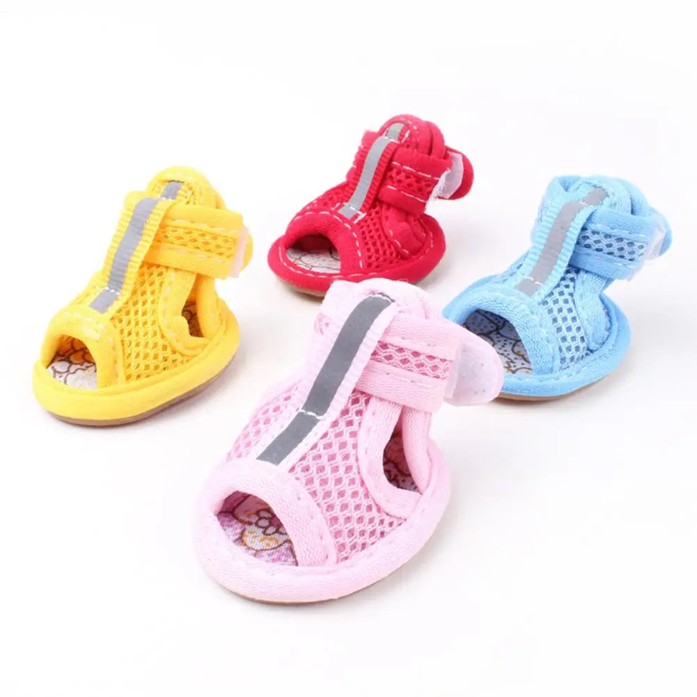 Scarpe estive per cani | Traspiranti e antiscivolo