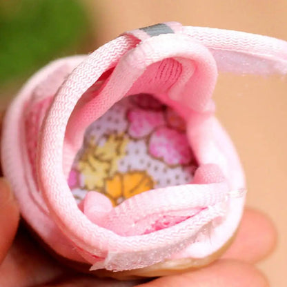 Scarpe estive per cani | Traspiranti e antiscivolo