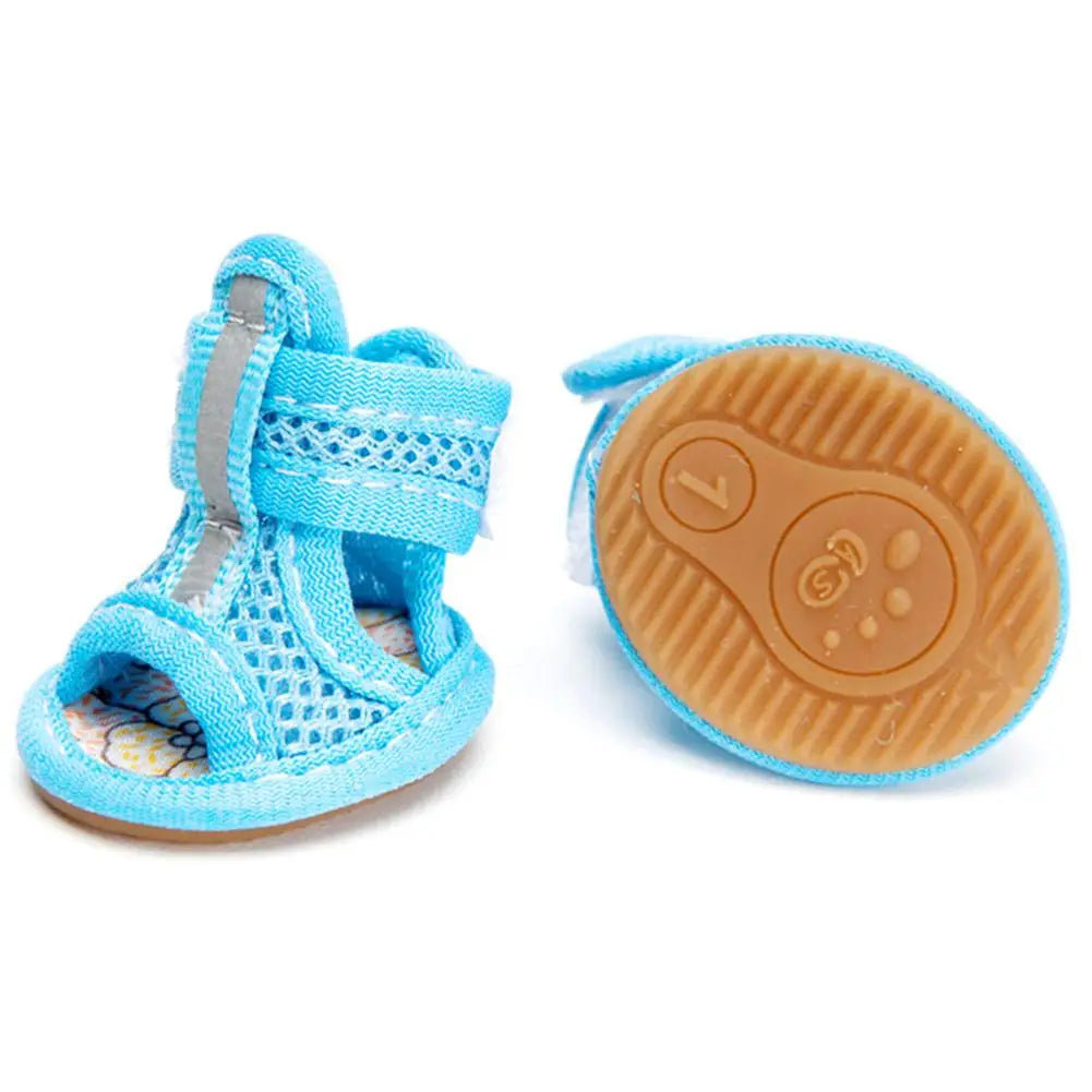 Scarpe estive per cani | Traspiranti e antiscivolo
