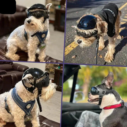 Casco per cani con occhialini protettivi