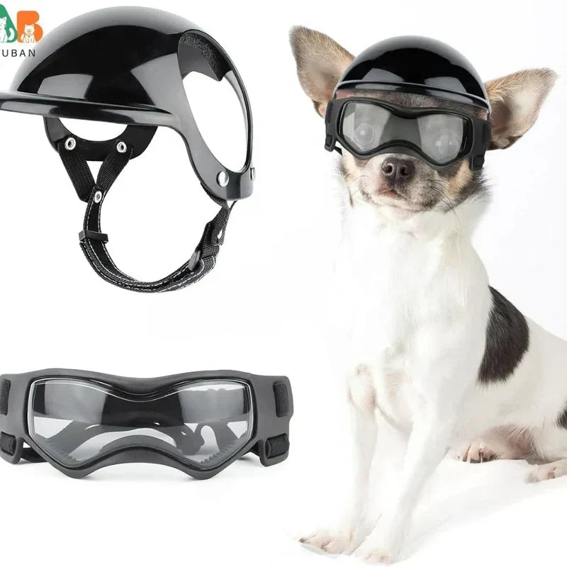 Casco per cani con occhialini protettivi