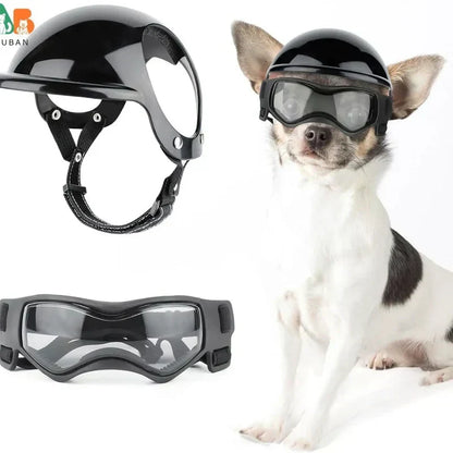 Casco per cani con occhialini protettivi