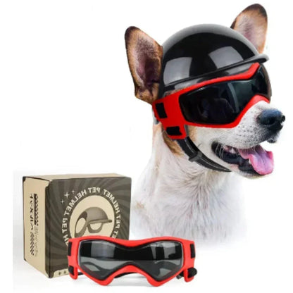 Casco per cani con occhialini protettivi