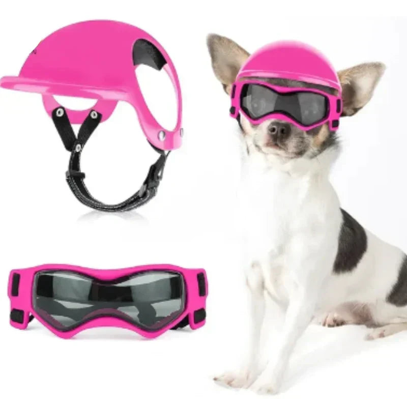 Casco per cani con occhialini protettivi