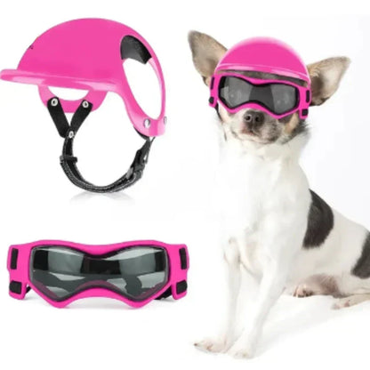 Casco per cani con occhialini protettivi
