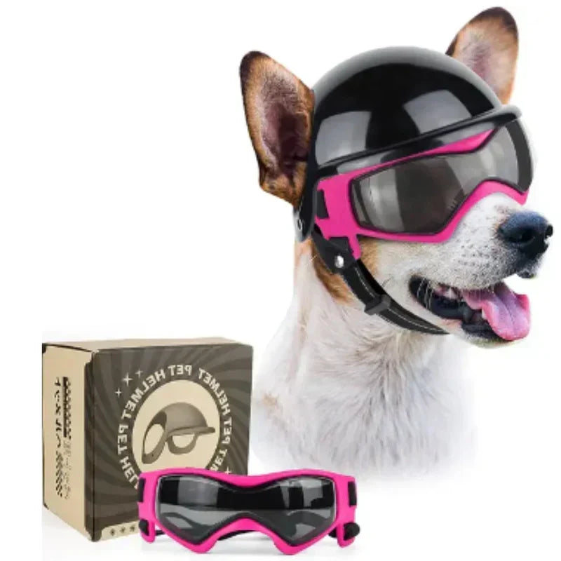 Casco per cani con occhialini protettivi