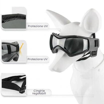 Casco per cani con occhialini protettivi