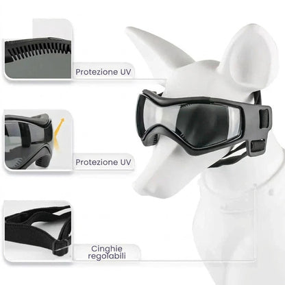 Casco per cani con occhialini protettivi