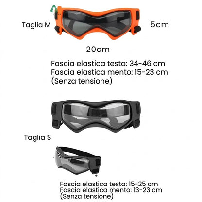 Casco per cani con occhialini protettivi