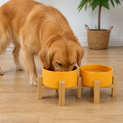 Ciotole doppie in ceramica con supporto rialzato in legno per cani