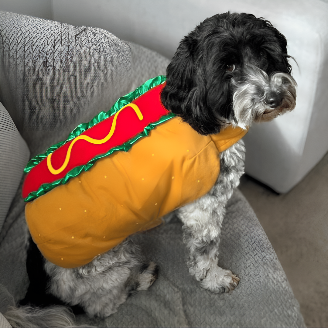 Costume da hot dog per cani, outfit Halloween monopezzo con cinghie regolabili in velcro, taglie XS–2XL