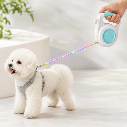Guinzaglio Retrattile Luminoso LED Ricaricabile per Cani per Passeggiate Notturne
