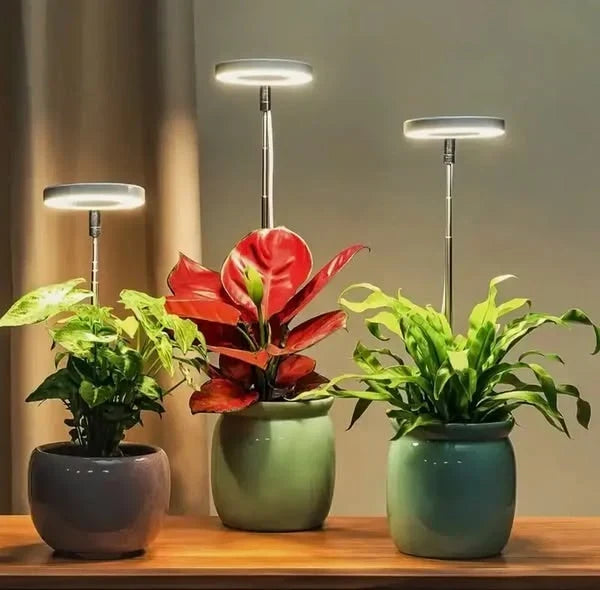 Lampada per piante | LED a spettro completo e timer dimmerabile