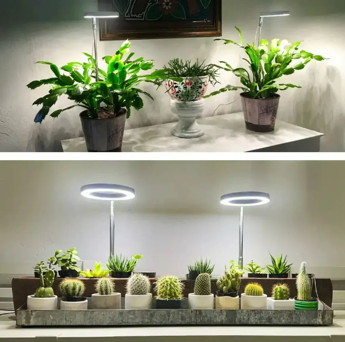 Lampada per piante | LED a spettro completo e timer dimmerabile