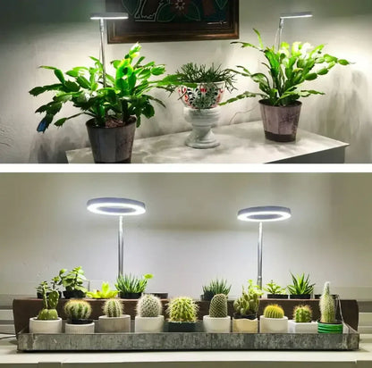 Lampada per piante | LED a spettro completo e timer dimmerabile