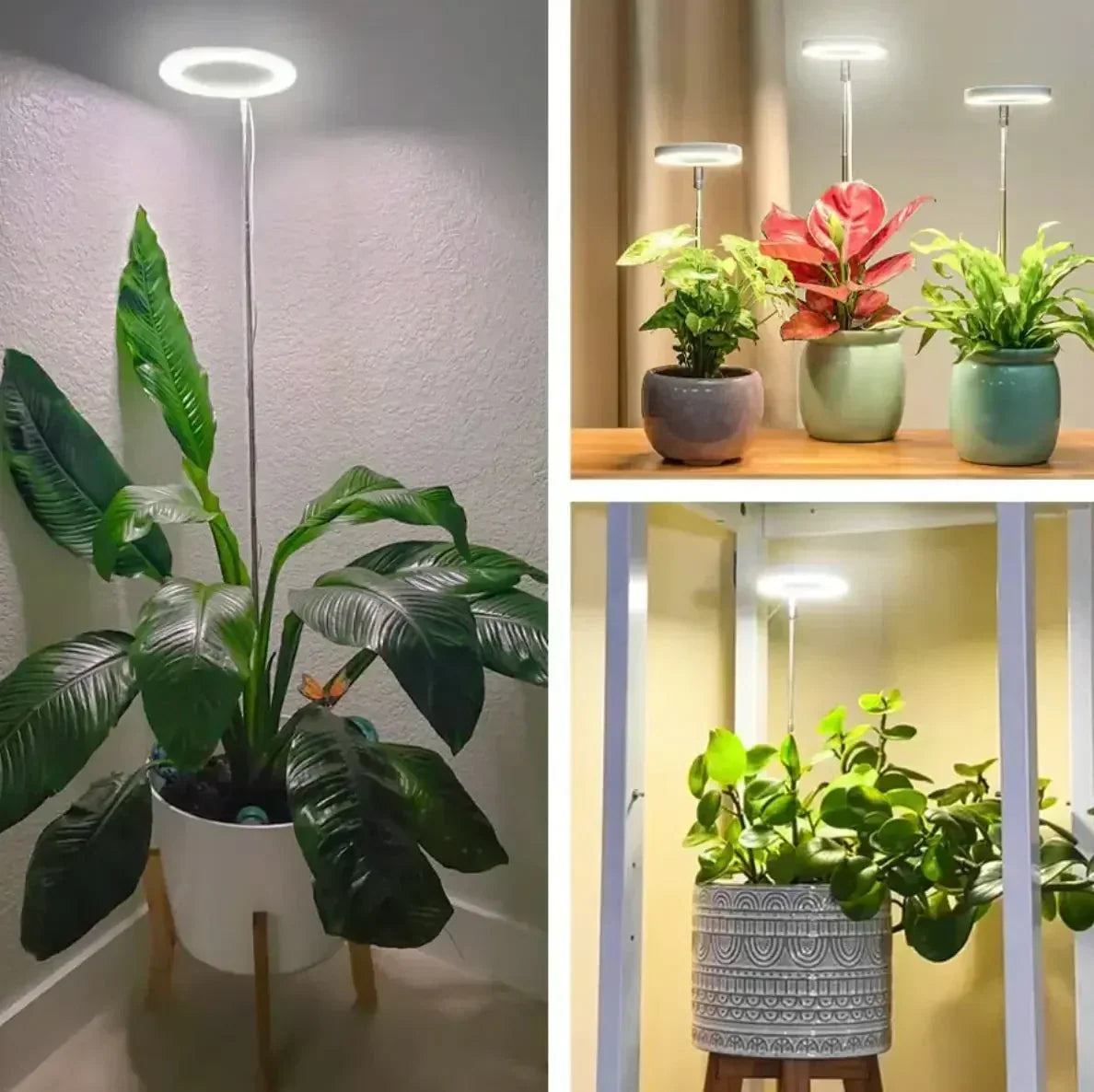Lampada per piante | LED a spettro completo e timer dimmerabile
