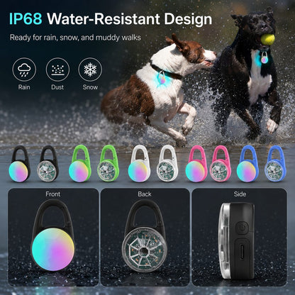 Luce LED di sicurezza ricaricabile con clip per cani per passeggiate notturne