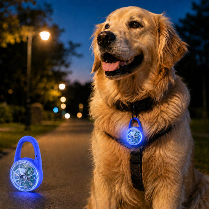 Luce LED di sicurezza ricaricabile con clip per cani per passeggiate notturne