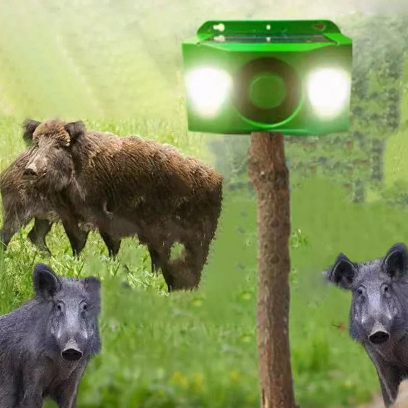 Luci solari dissuasive per animali con allarme sonoro
