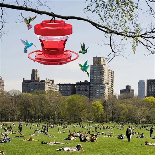 Mangiatoia per colibrì anti-api con posatoio - capacità 473 ml