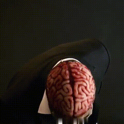 Maschera scheletro realistica con cervello per adulti Halloween
