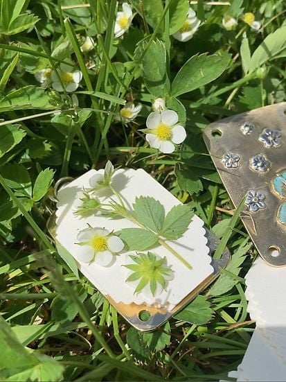 Mini pressa per fiori compatta