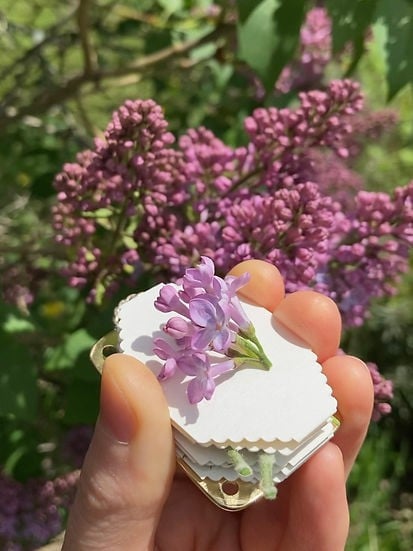 Mini pressa per fiori compatta