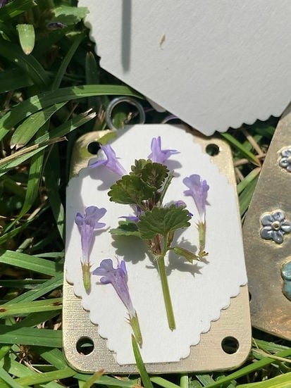 Mini pressa per fiori compatta