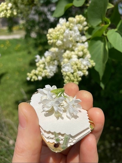 Mini pressa per fiori compatta