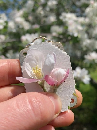 Mini pressa per fiori compatta