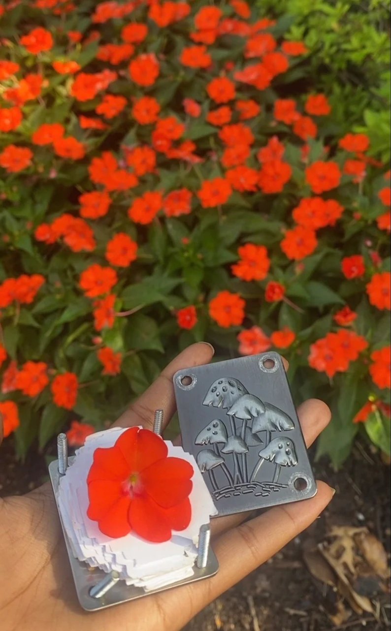 Mini pressa per fiori compatta
