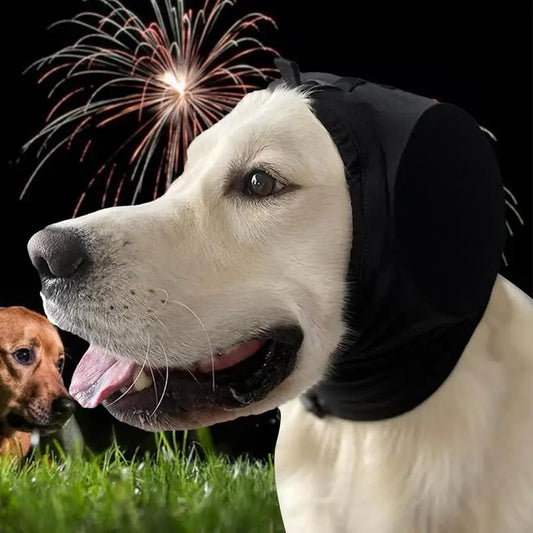 Paraorecchie per cani per riduzione del rumore e comfort