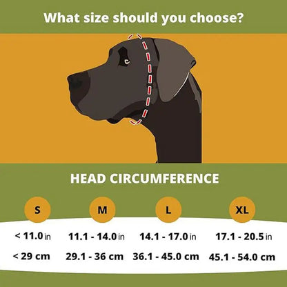 Paraorecchie per cani per riduzione del rumore e comfort