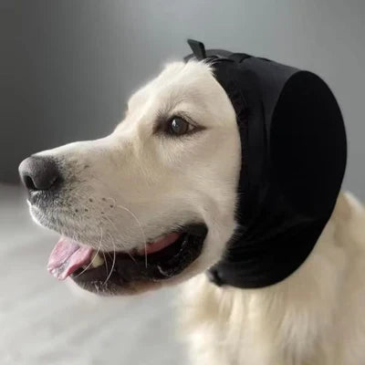 Paraorecchie per cani per riduzione del rumore e comfort