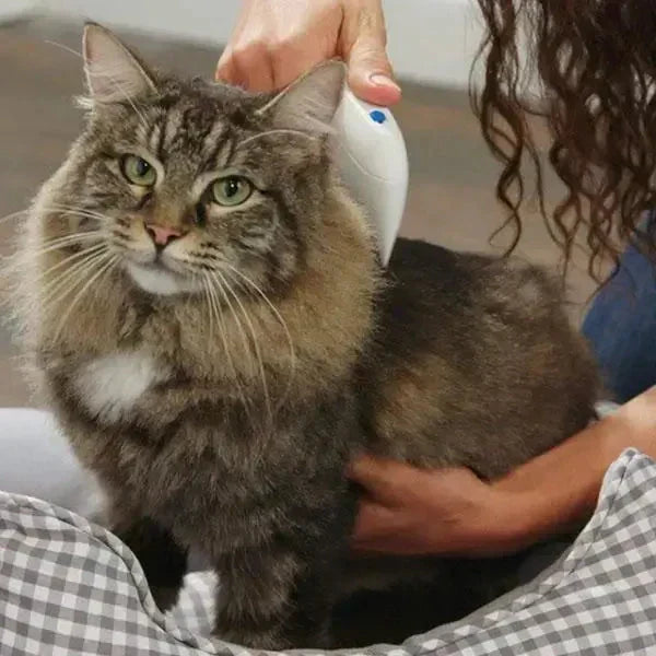 Pettine elettrico elimina pulci per animali domestici