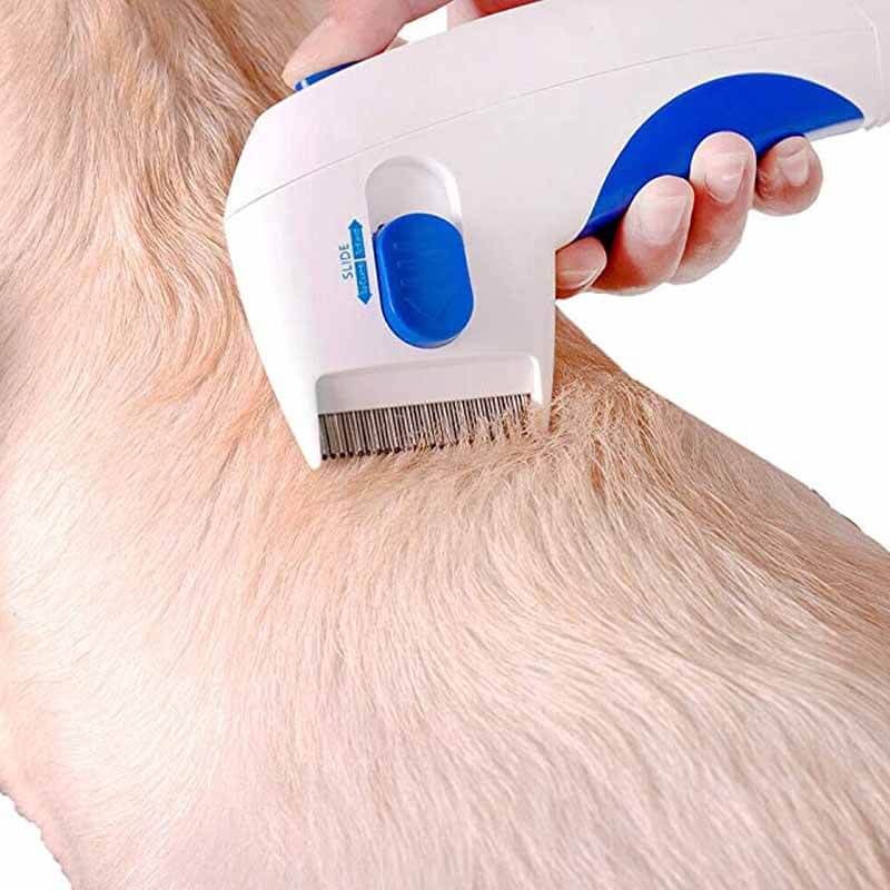 Pettine elettrico elimina pulci per animali domestici