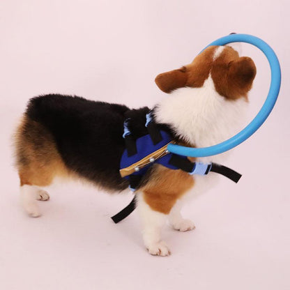 Pettorina con collare paraurti per cani ciechi – ausilio per la mobilità